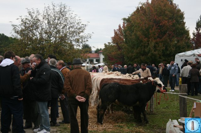 Fiera del Bestiame (35).JPG